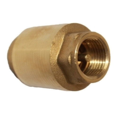 Brass Spring Check Valve 65mm