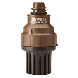Nelson Mini Regulator Drain Check Acme x Acme 50psi (10407-050)